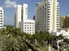 royal-palm-birds-eye-perspective