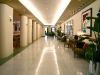 royal-palm-interior