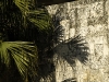 the-womens-history-gallery-materials-detail