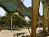 tropical-park-equestrian-center-light-and-shade